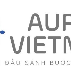 Logo Aupair VN -chuan-01